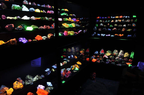 A large room full of fluorescent minerals