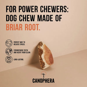 CANOPHERA Briar Root Dog Chews - Treats Dog Company