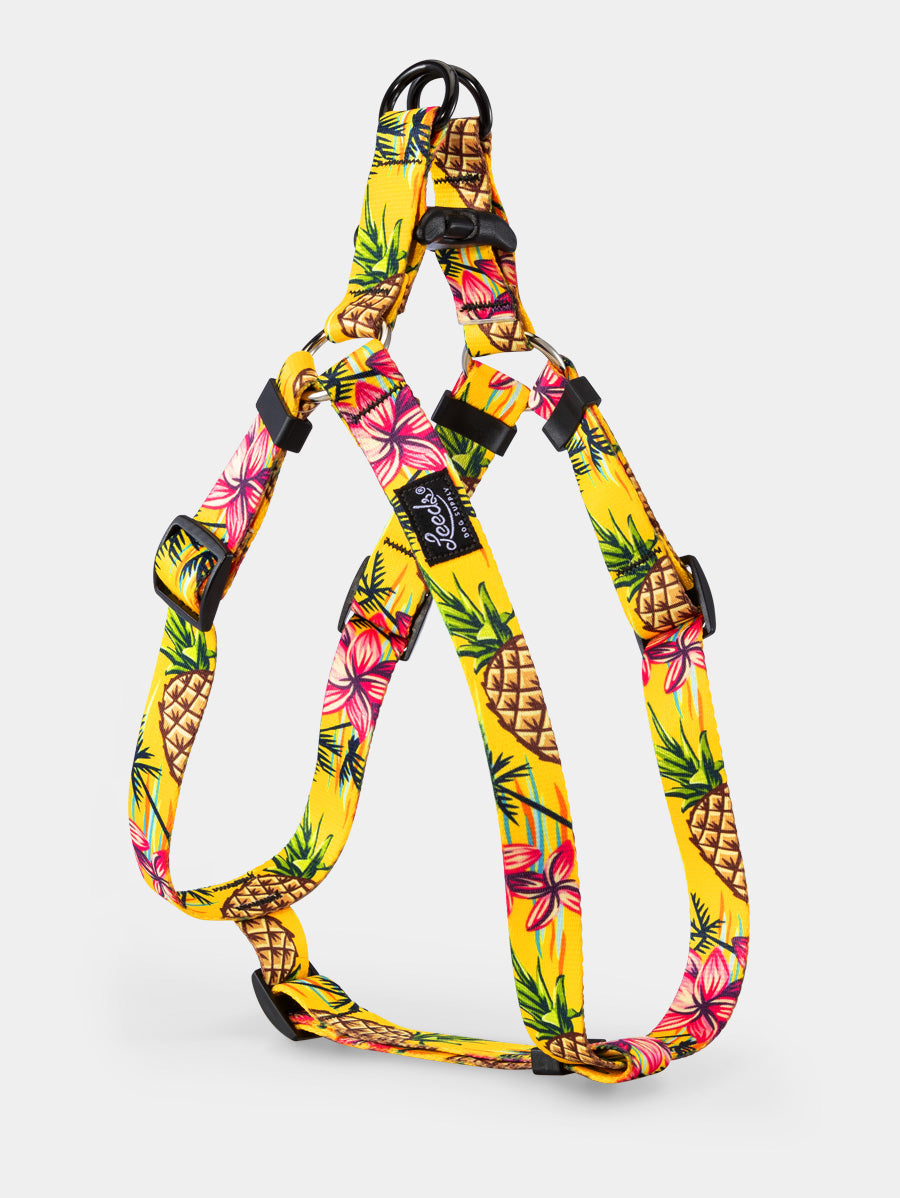 Designer Inspired Step-In Harness w/ Leash – Delray Feed & Supply