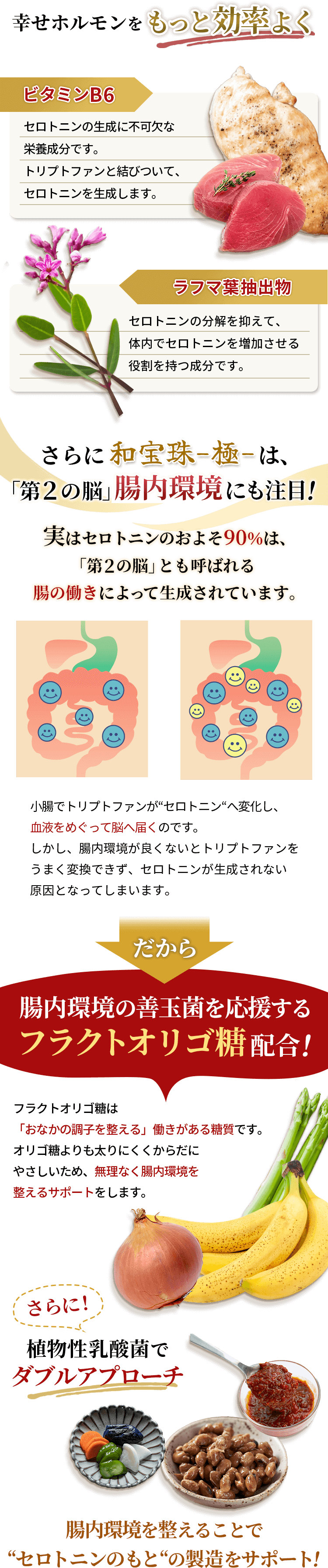 ラフマ葉抽出物、ビタミンB6、和宝珠-極-は腸内環境にも注目!