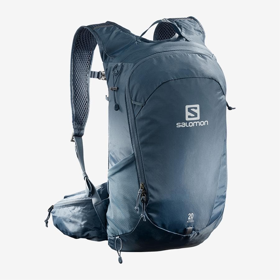 Salomon Trailblazer Backpack | Gone