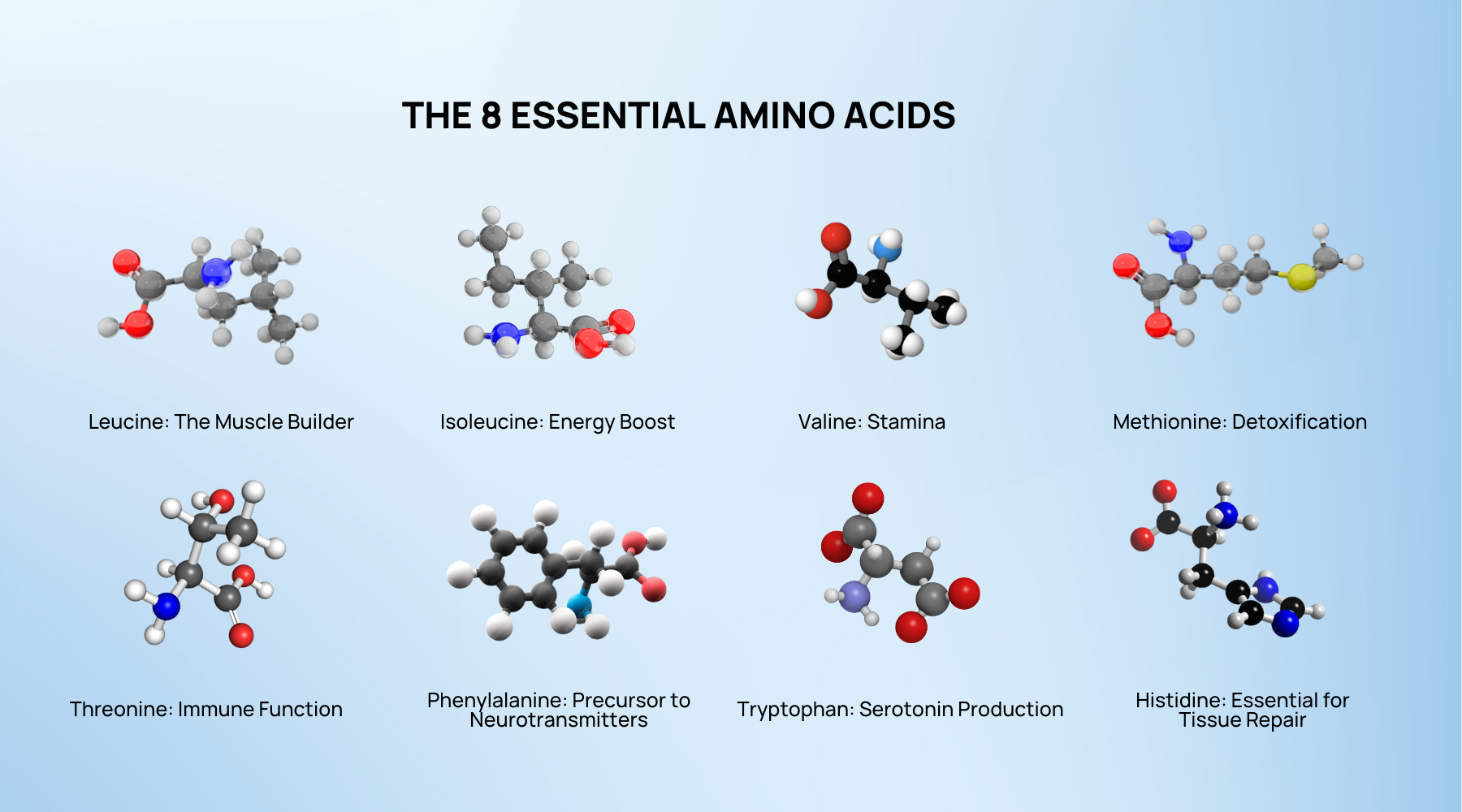 The 8 Essential Amino Acids