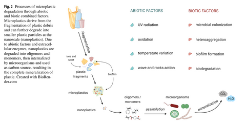 Processes of  microplastic degradation