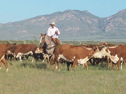 Conchise County (AZ) rancher