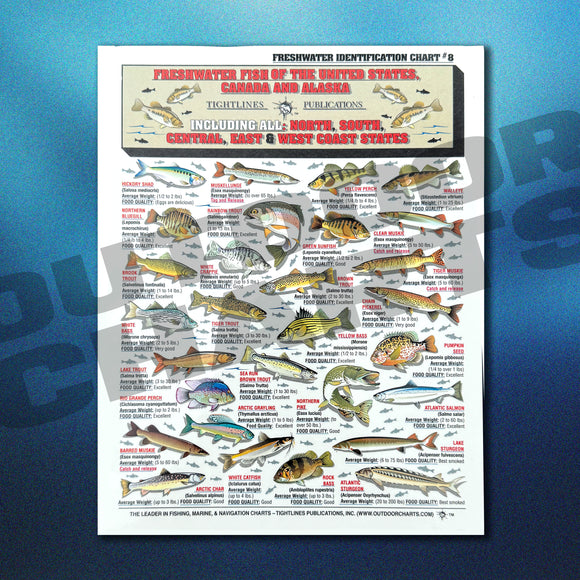 Fish of Alaska Species Identification Chart #16 (Freshwater