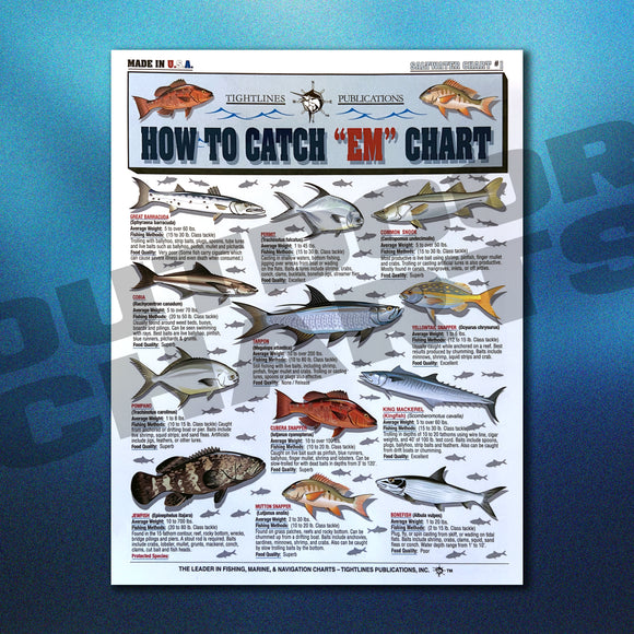 Pan-Fish Chart #7 (Saltwater & Freshwater) – Outdoor Charts