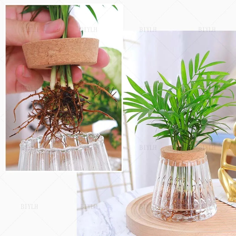 Nordic Hydroponic Glass Vase for Holiday Plants - Image 18