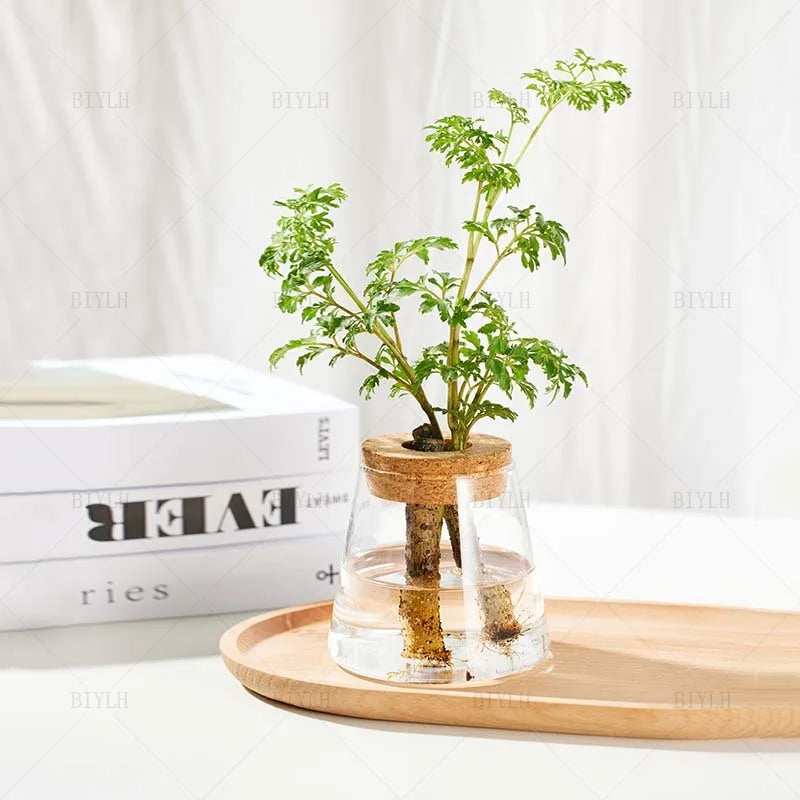 Nordic Hydroponic Glass Vase for Holiday Plants - Image 16