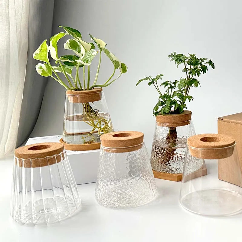 Nordic Hydroponic Glass Vase for Holiday Plants - Image 20