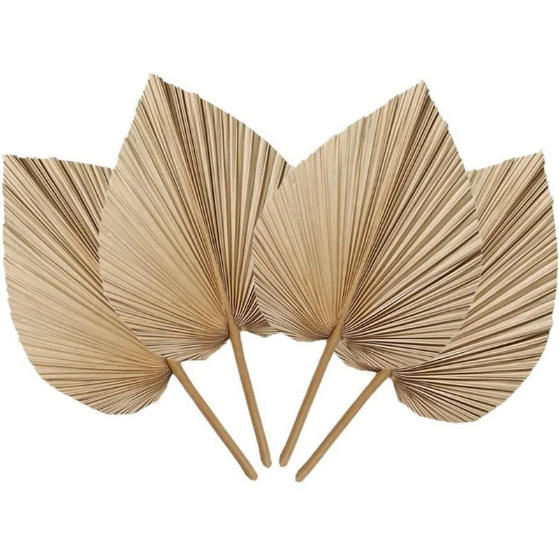 4 Palm Leaves for Boho Wedding & Home Decor