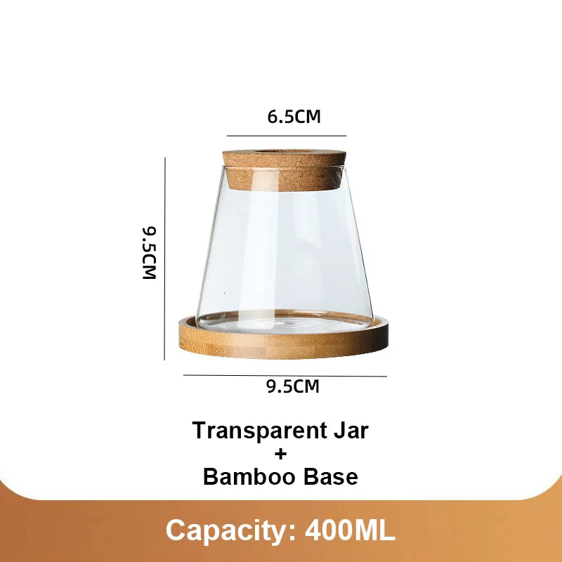 Nordic Hydroponic Glass Vase for Holiday Plants - Image 10