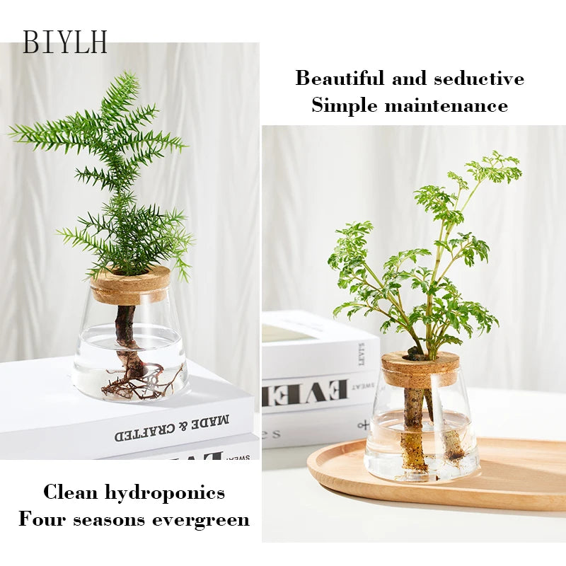 Nordic Hydroponic Glass Vase for Holiday Plants - Image 11