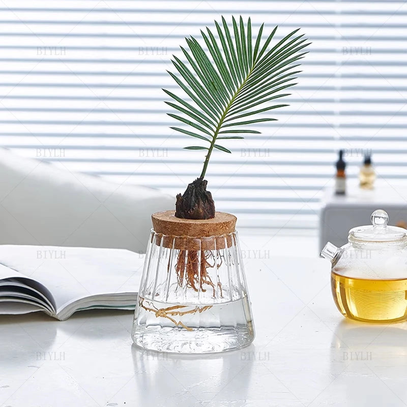 Nordic Hydroponic Glass Vase for Holiday Plants - Image 19
