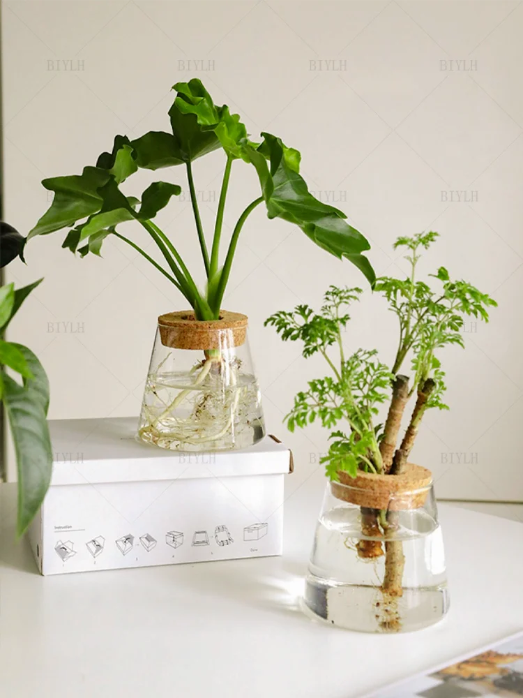 Nordic Hydroponic Glass Vase for Holiday Plants - Image 13