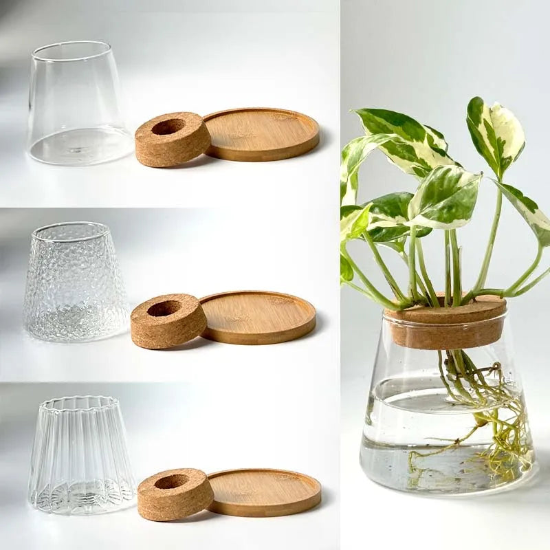 Nordic Hydroponic Glass Vase for Holiday Plants - Image 9