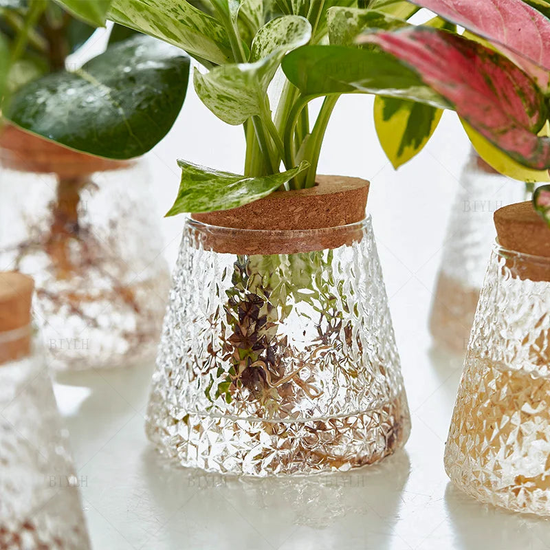 Nordic Hydroponic Glass Vase for Holiday Plants - Image 21