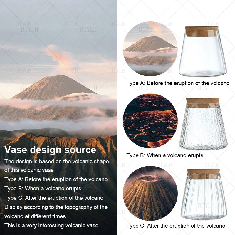 Nordic Hydroponic Glass Vase for Holiday Plants - Image 14