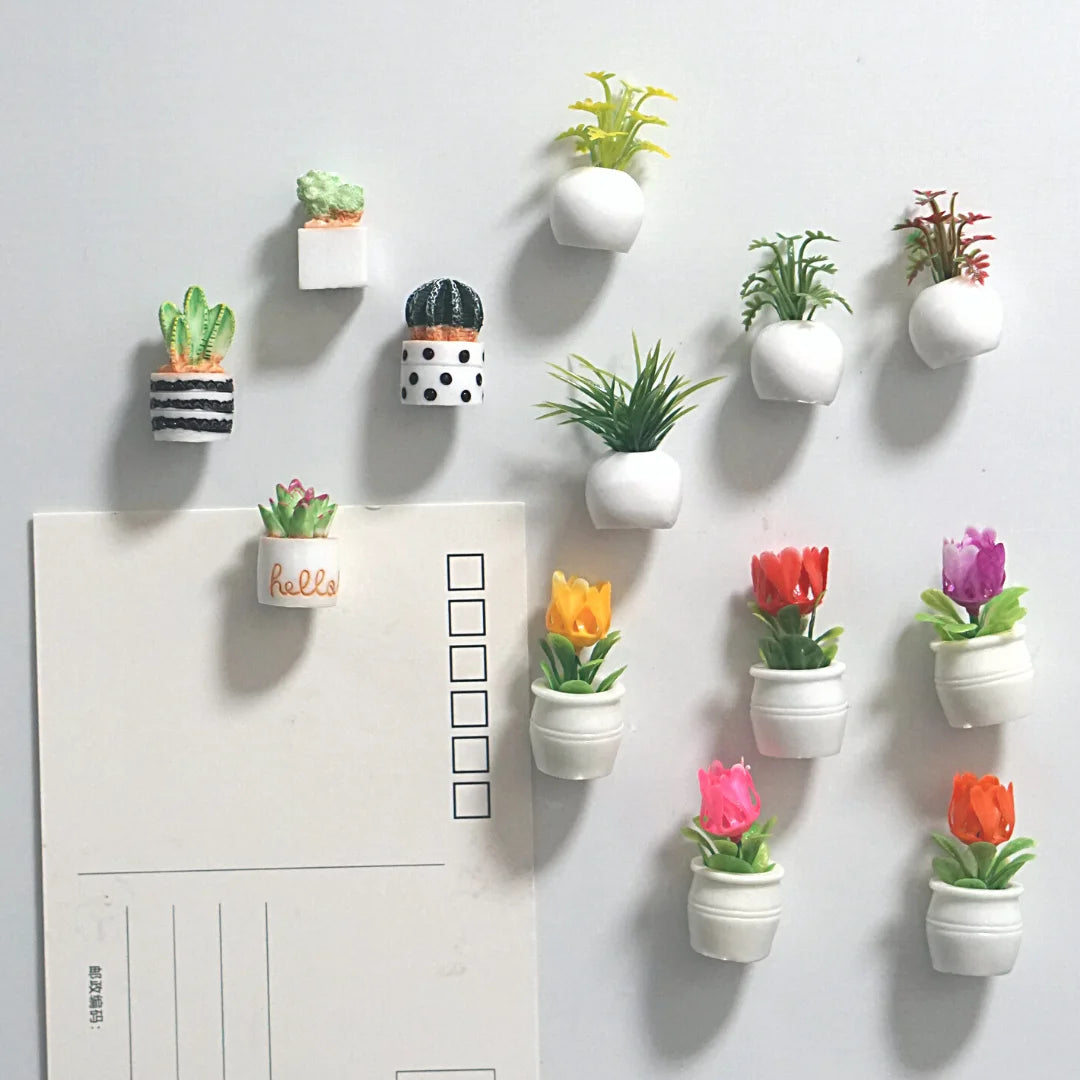 3D Cute Cactus Fridge Magnets for Christmas - Image 9