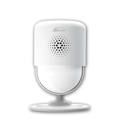 motion sensor alarm