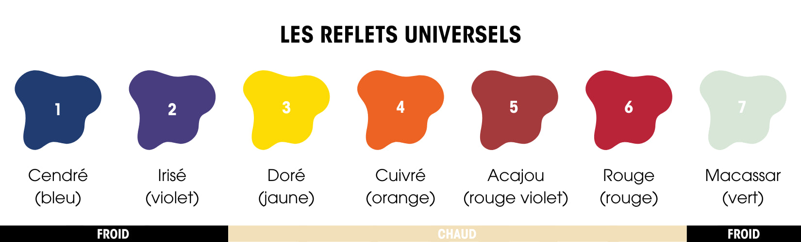 Les reflets universels - Tuccinardi