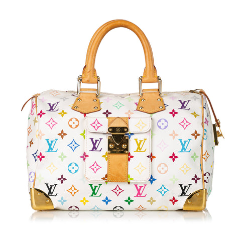 Louis Vuitton - Authenticated Speedy Handbag - Leather Multicolour for Women, Very Good Condition