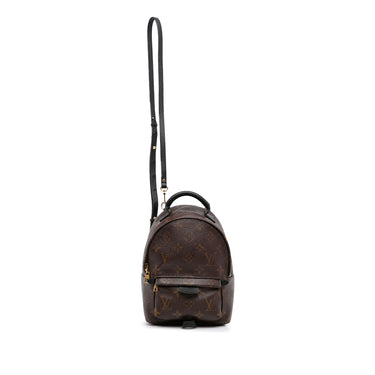 Palm springs leather backpack Louis Vuitton Brown in Leather - 36060931