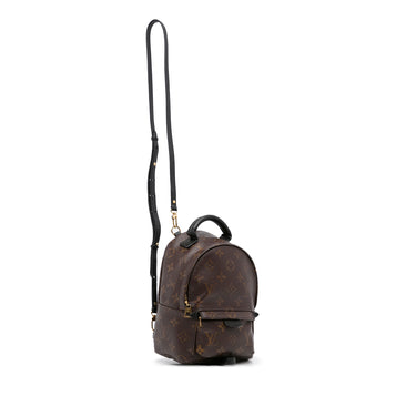 Palm springs leather backpack Louis Vuitton Brown in Leather - 24166828