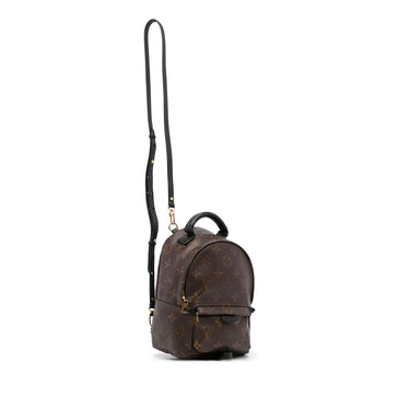 Louis Vuitton Monogram Palm Springs Brown Mini Backpack - Chronostore