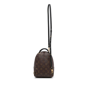 Brown Louis Vuitton Monogram Palm Springs Mini Backpack – Designer Revival