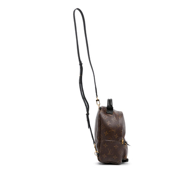 Louis Vuitton Palm Springs Mini backpack Brown Cloth ref.762481