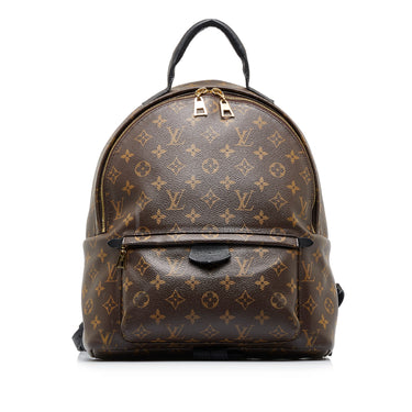 Palm springs leather backpack Louis Vuitton Brown in Leather - 34275449