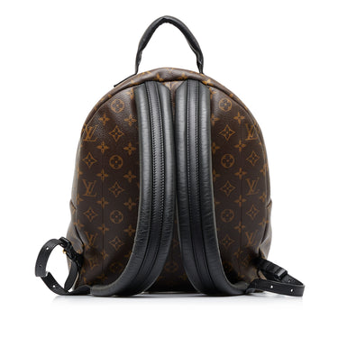 Brown Louis Vuitton Monogram Palm Springs MM Backpack