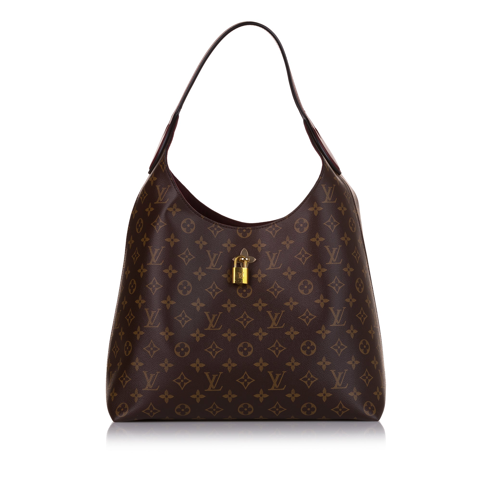 Louis Vuitton Brown Monogram Coated Canvas My LV World Tour