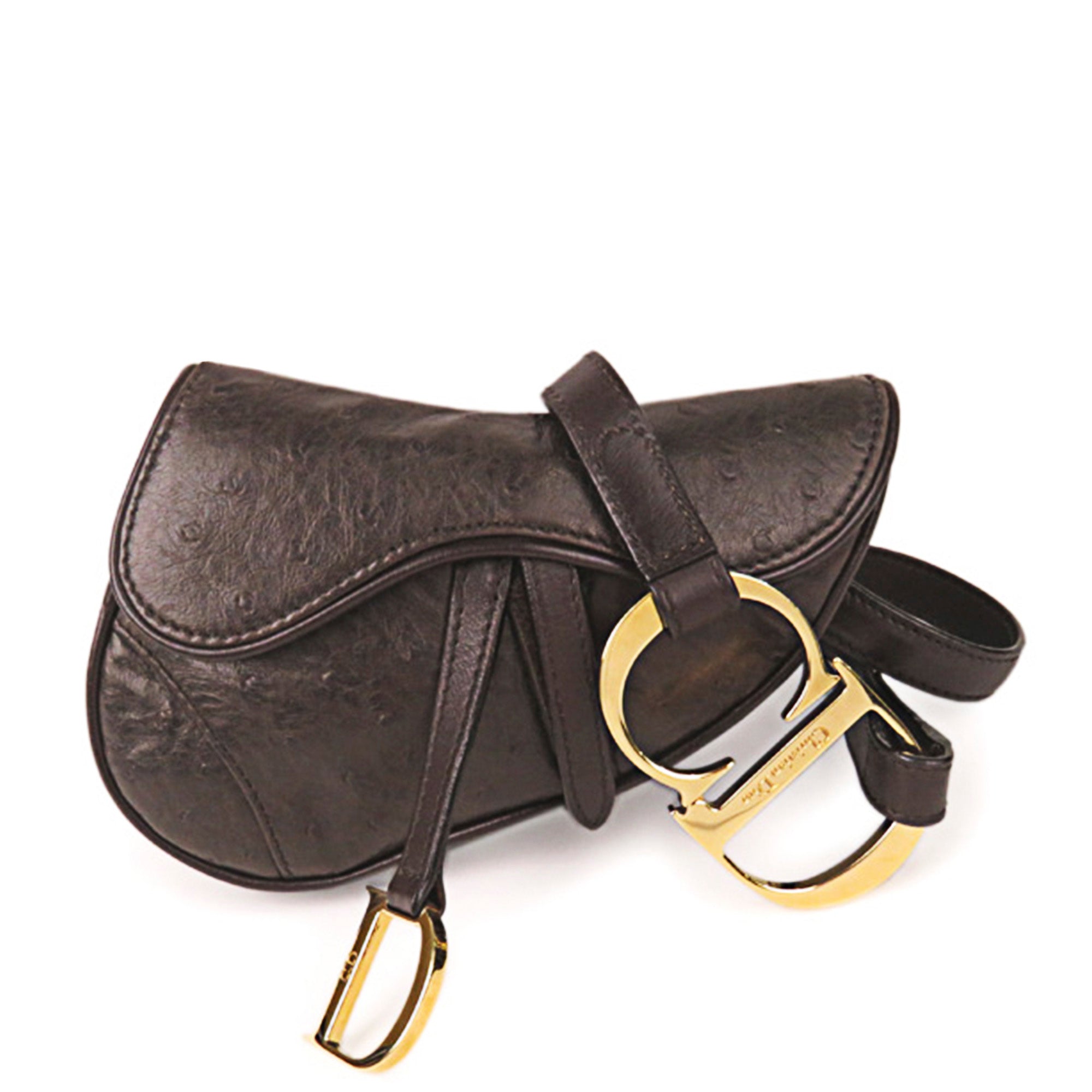 dior saddle bag ostrich