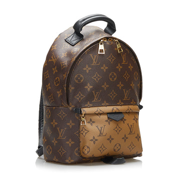 Palm springs leather backpack Louis Vuitton Brown in Leather - 29840778