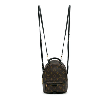 Brown Louis Vuitton Monogram Palm Springs Mini Backpack – Designer