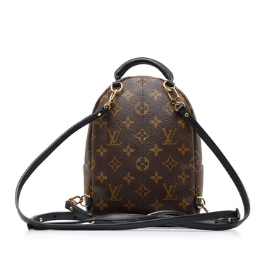 Louis Vuitton Monogram Palm Spring PM - Brown Backpacks, Handbags -  LOU787257