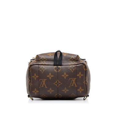 Palm springs cloth backpack Louis Vuitton Brown in Cloth - 30752231