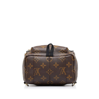 Louis Vuitton Palm Springs Backpack Reverse Monogram Canvas PM Brown 2166332