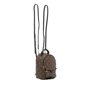 Louis Vuitton Monogram Mini Palm Springs Brown - NOBLEMARS