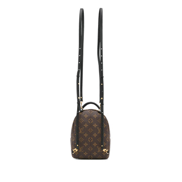 Brown Louis Vuitton Monogram Palm Springs Mini Backpack – Designer