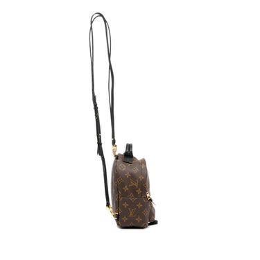 Palm springs leather backpack Louis Vuitton Brown in Leather - 24166828