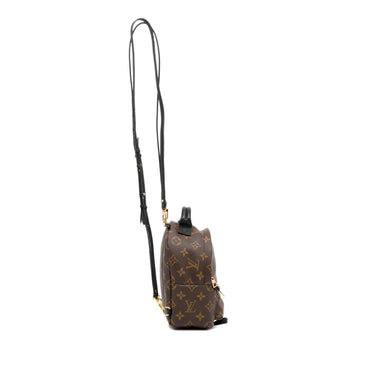 Louis Vuitton Monogram Palm Springs Brown Mini Backpack - Chronostore