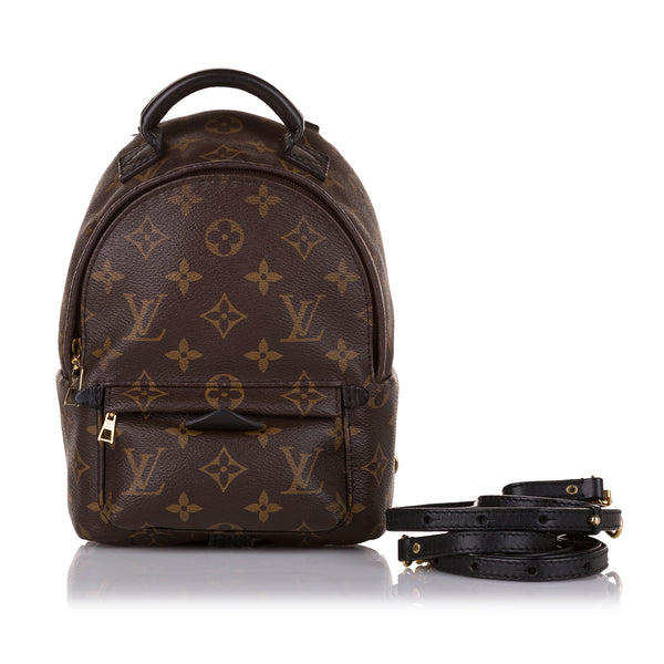 Louis Vuitton Monogram Canvas Palm Springs Mini Backpack - Handbag | Pre-owned & Certified | used Second Hand | Unisex