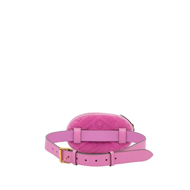 Pink Dior Ultra Matte Saddle Belt Bag – Designer Revival