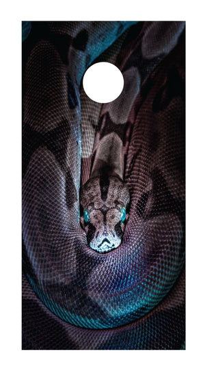 Python Cornhole Board Skins (Pair) - OAGFX
