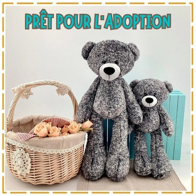 peluche-ourson-adoption