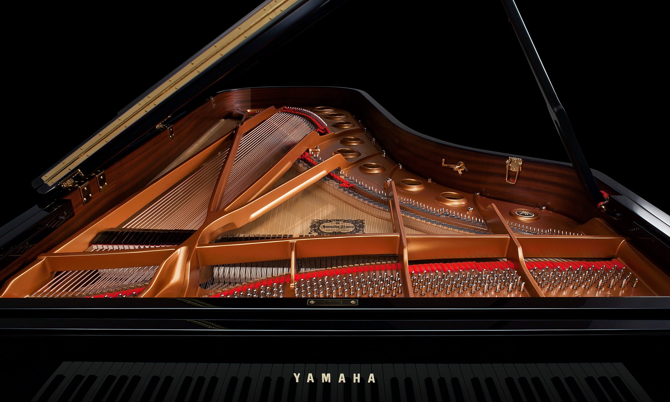 tela Deliberadamente mundo yamaha cfx concert grand piano Letrista Prueba de Derbeville extraer