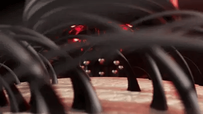GIF 3 description