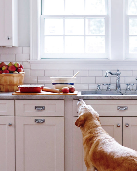 Supervising the baking.